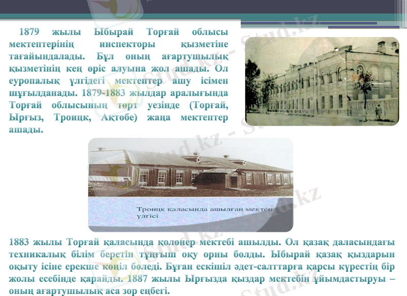 Slide 8