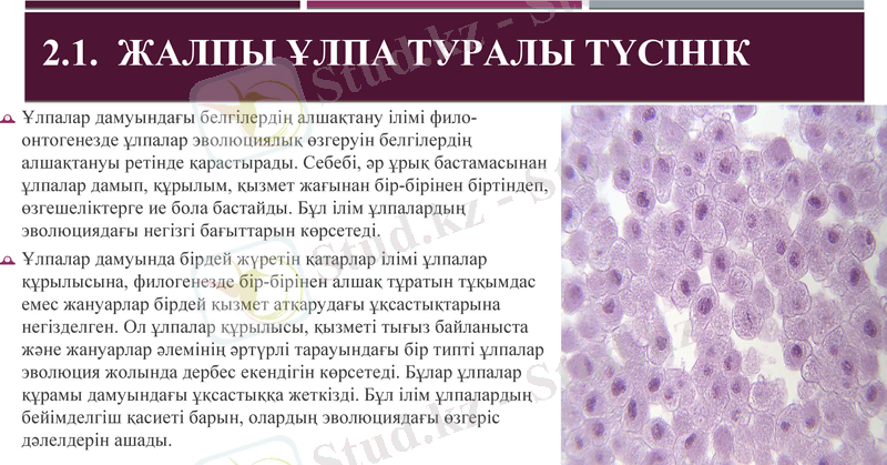 Slide 10