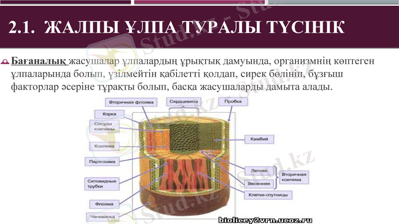 Slide 12