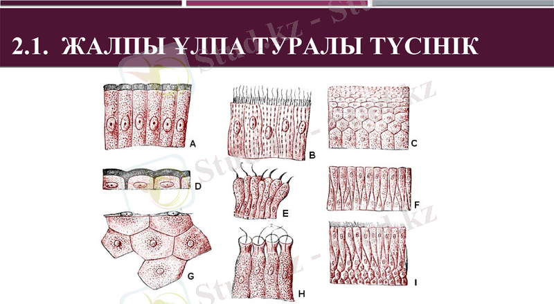 Slide 15
