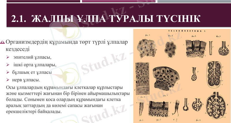 Slide 16
