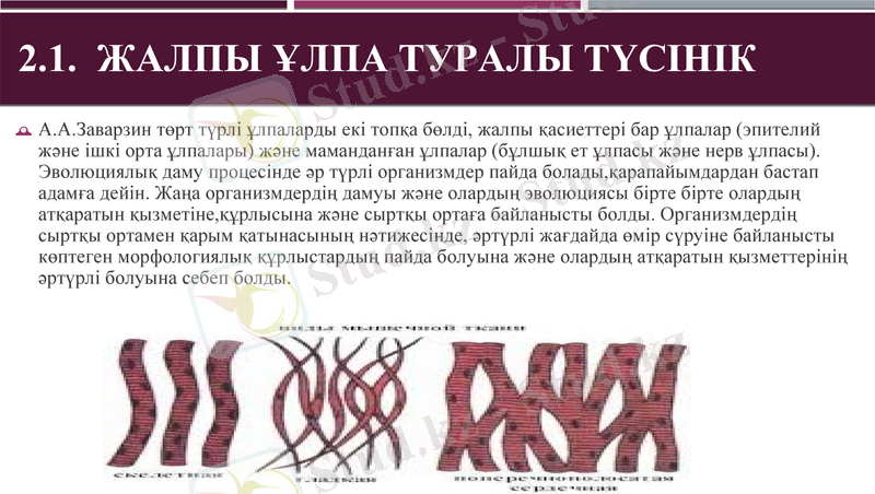 Slide 17