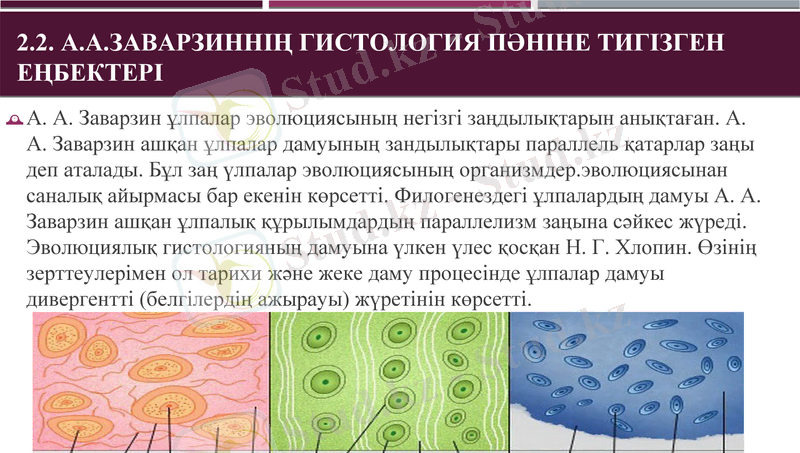 Slide 21