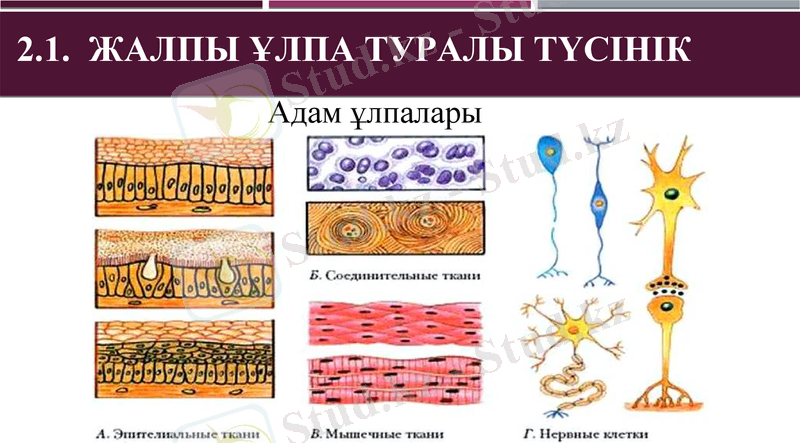 Slide 9