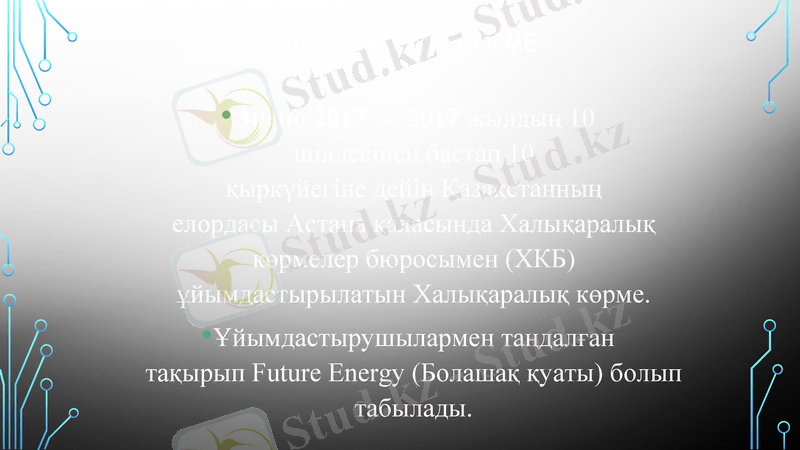 Slide 13