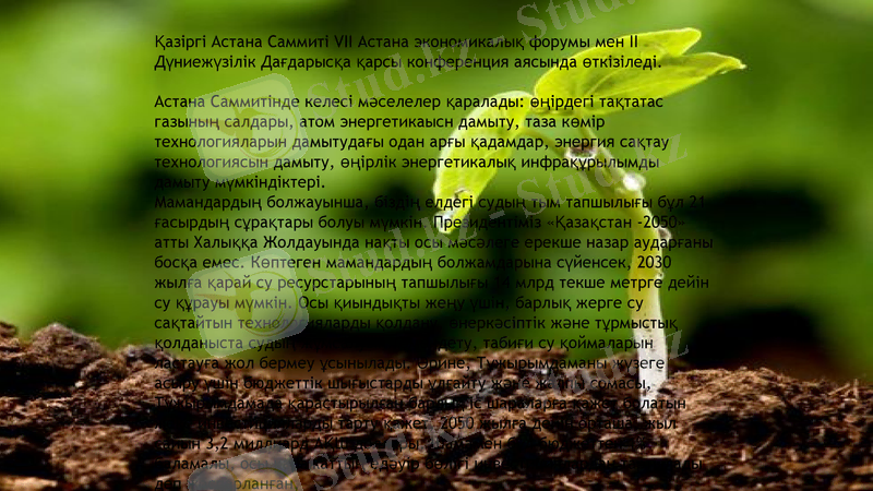 Slide 8