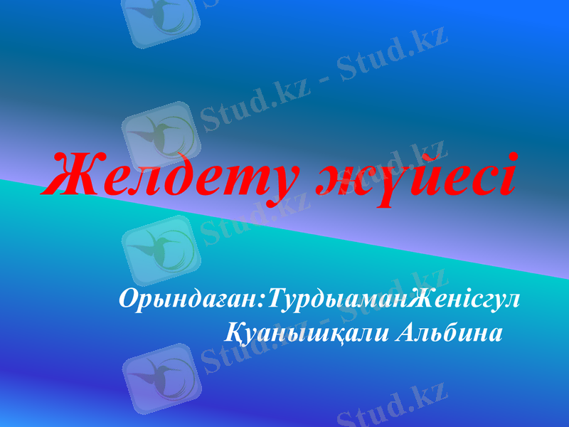 Slide 1