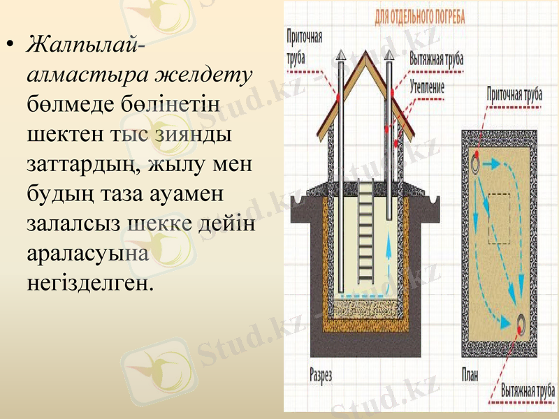 Slide 10
