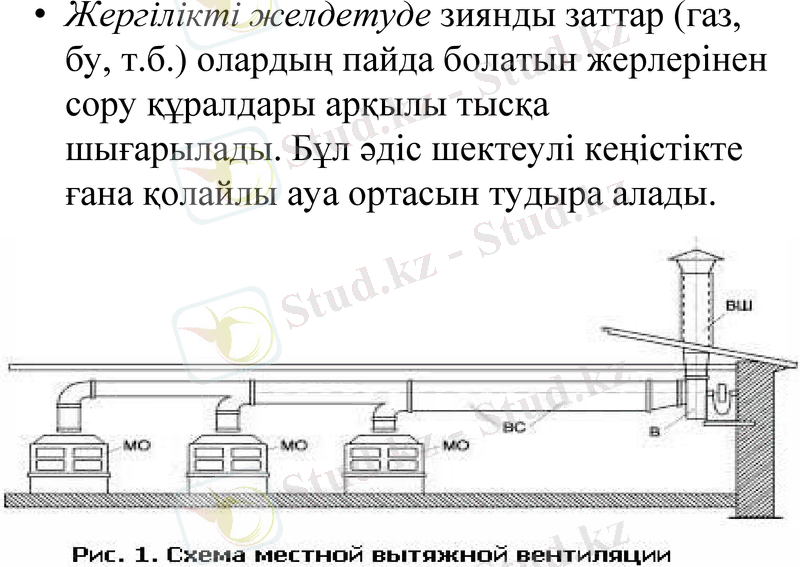 Slide 11