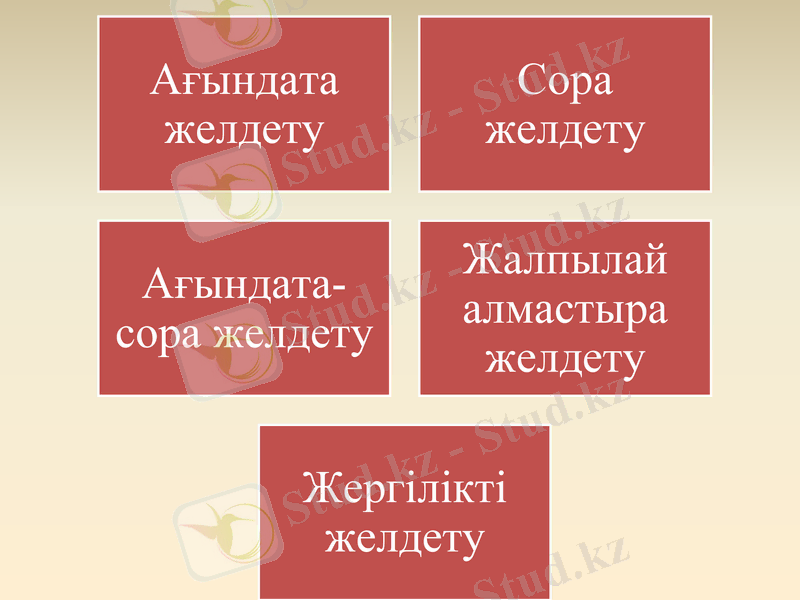 Slide 6
