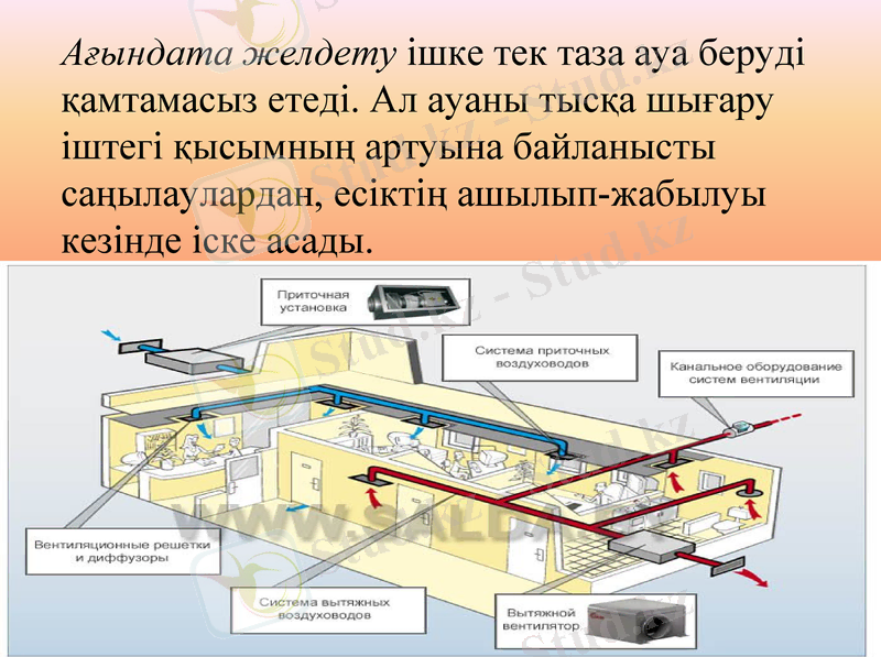 Slide 7