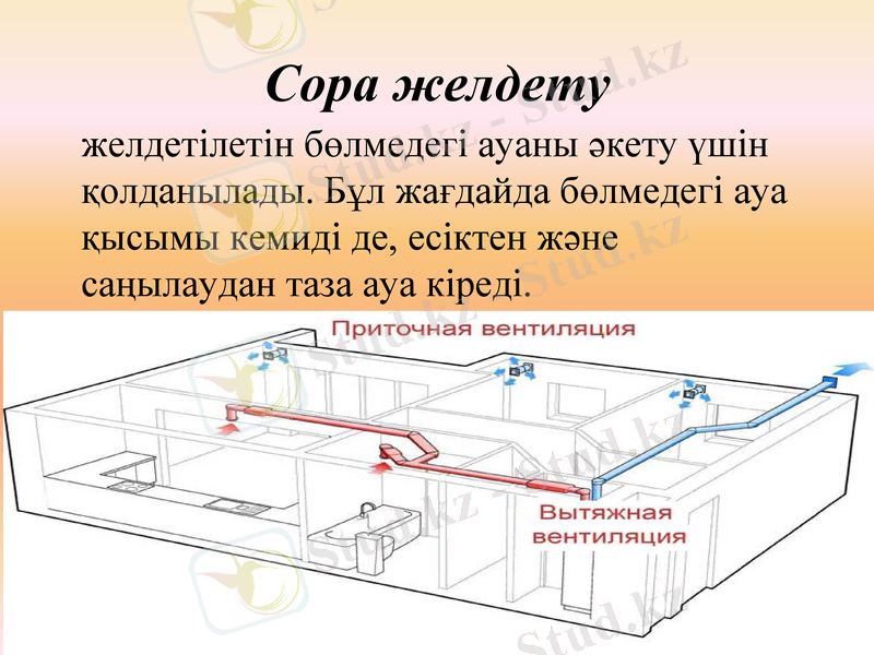 Slide 8