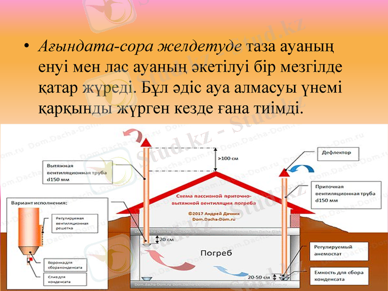 Slide 9