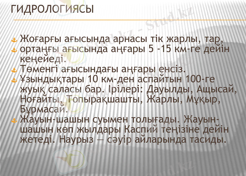 Slide 10