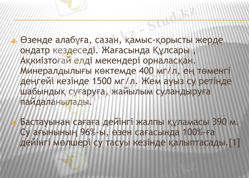 Slide 6