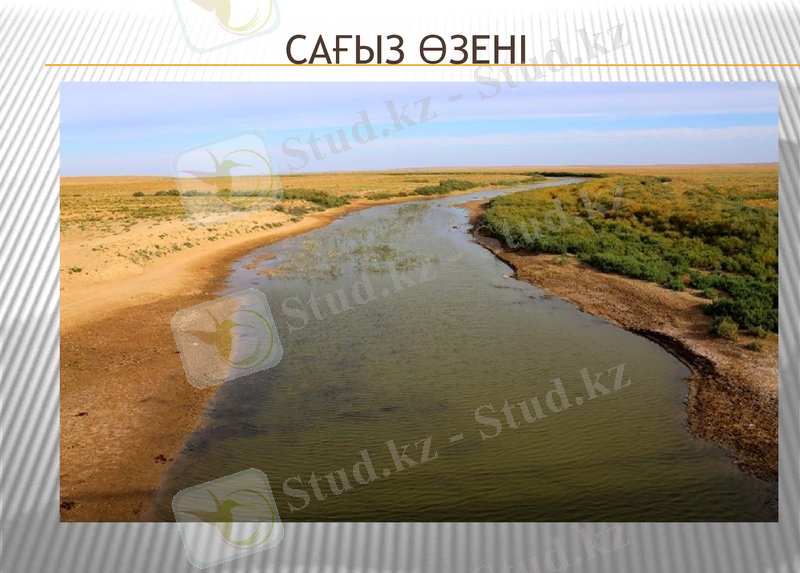 Slide 8
