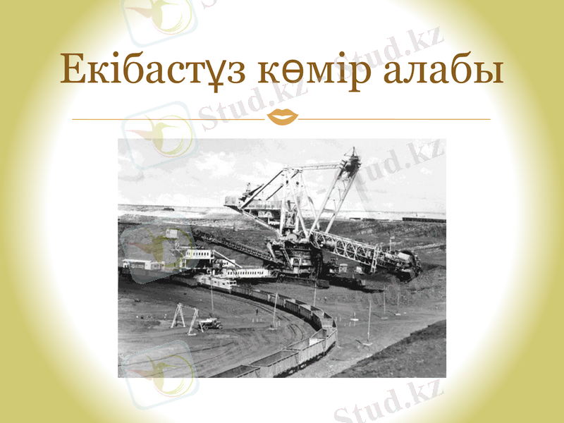 Slide 10