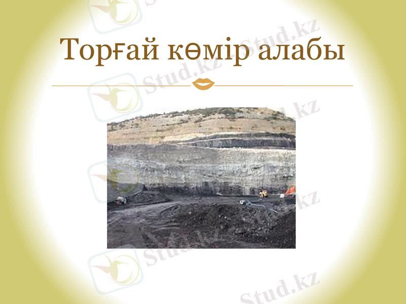 Slide 12
