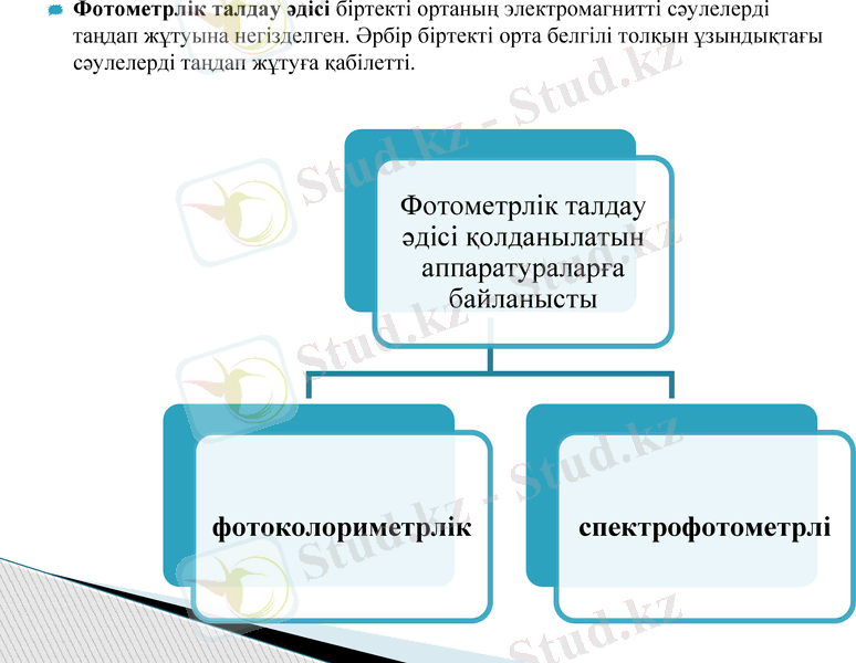 Slide 12