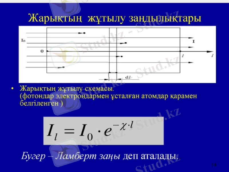 Slide 8