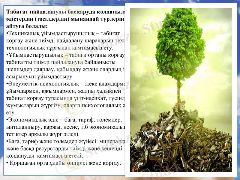 Slide 12