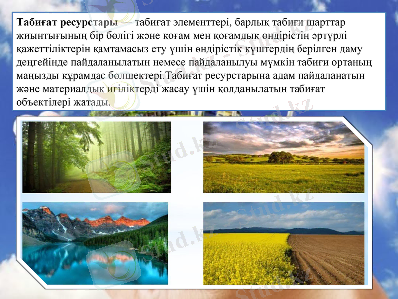 Slide 3