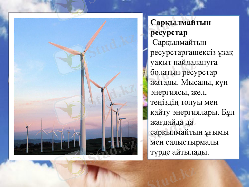 Slide 7