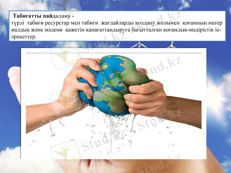 Slide 8