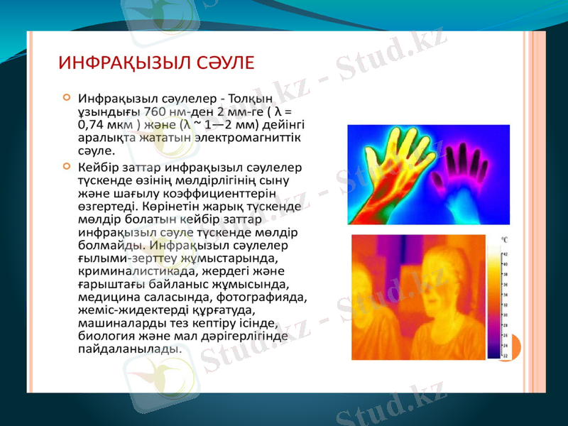 Slide 13