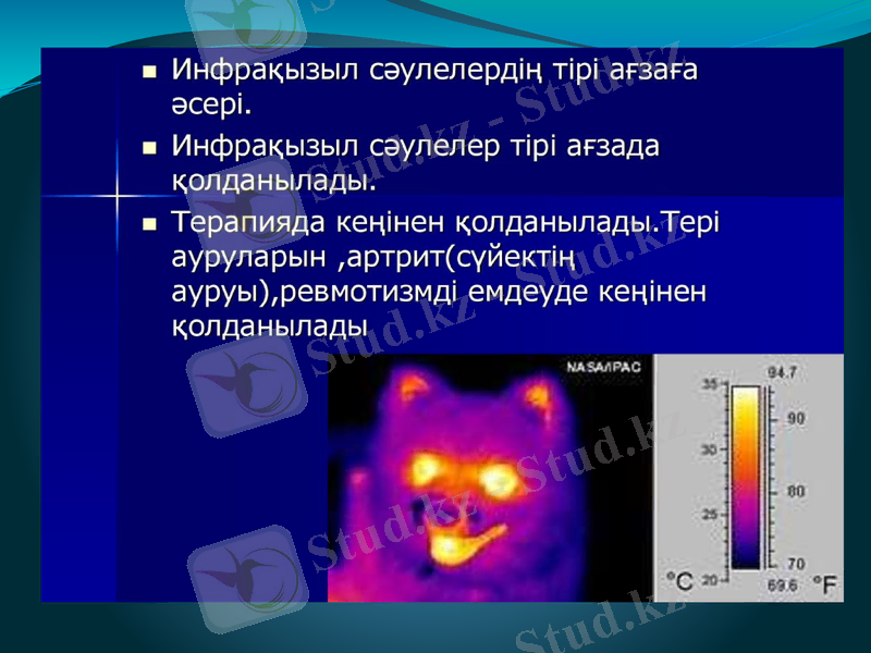 Slide 16