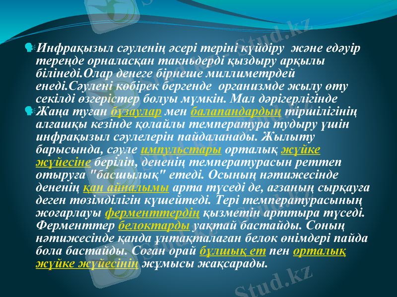 Slide 17
