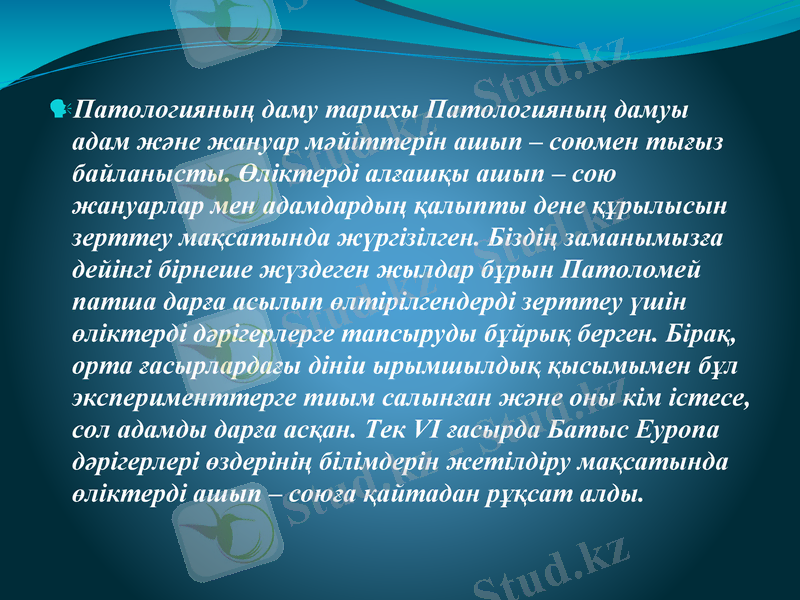 Slide 5