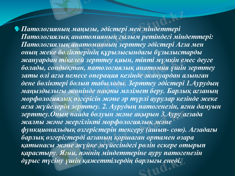 Slide 6