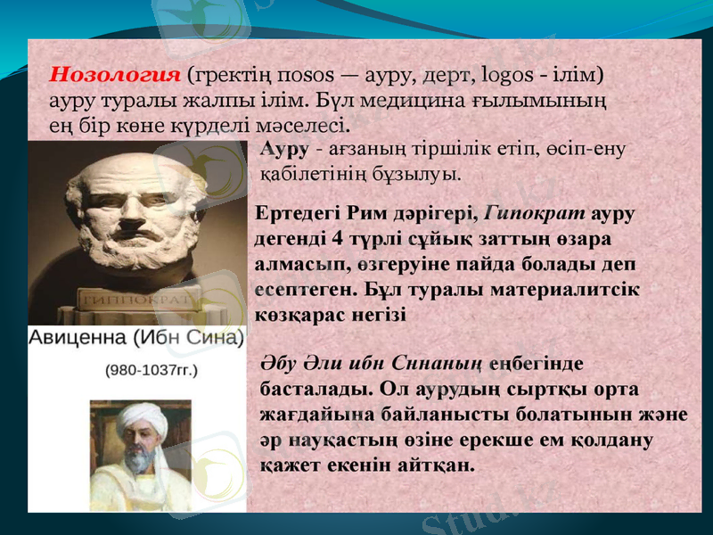 Slide 7