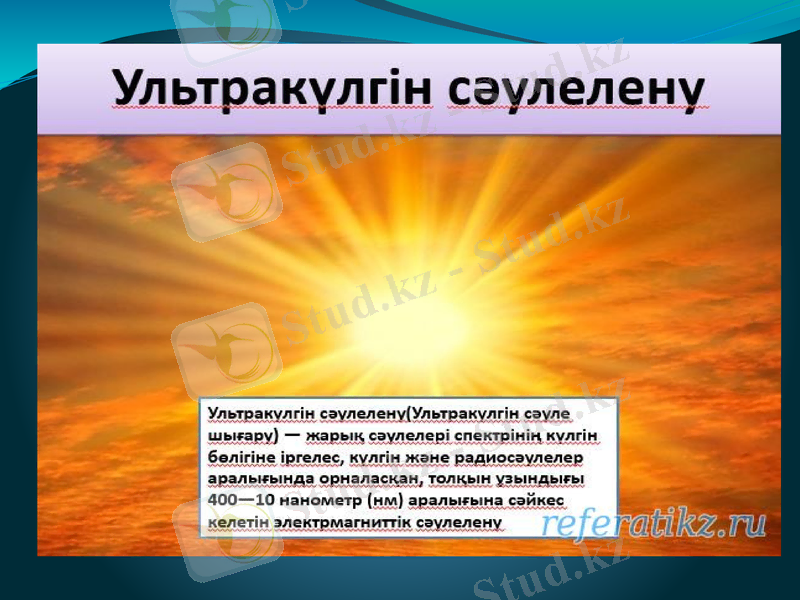 Slide 8