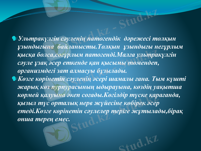 Slide 9