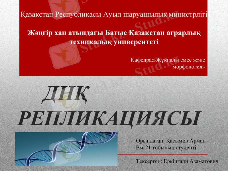 Slide 1