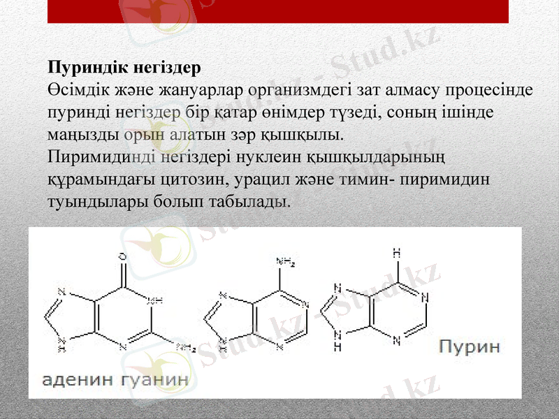 Slide 10