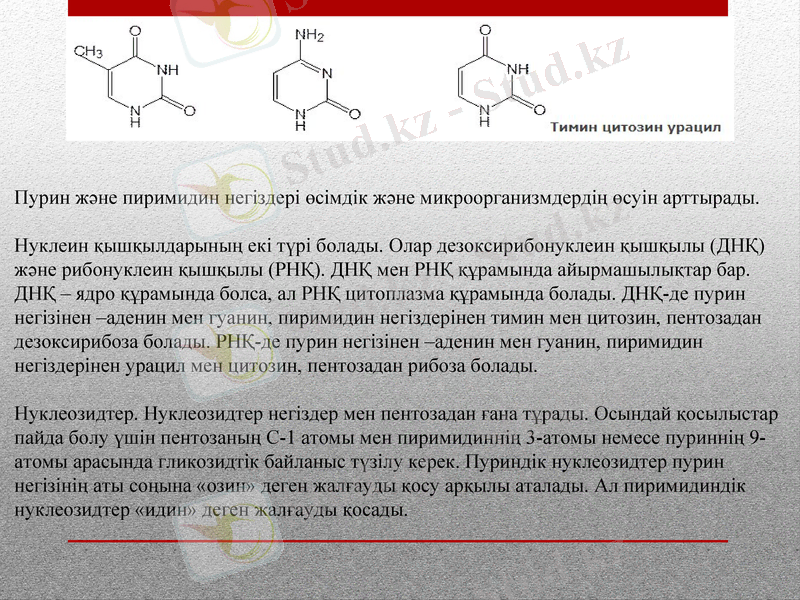 Slide 11