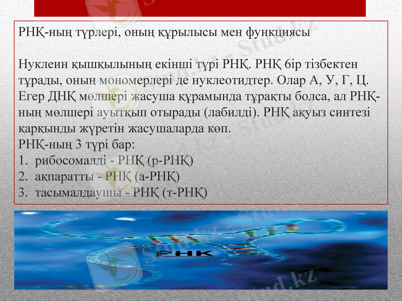 Slide 7