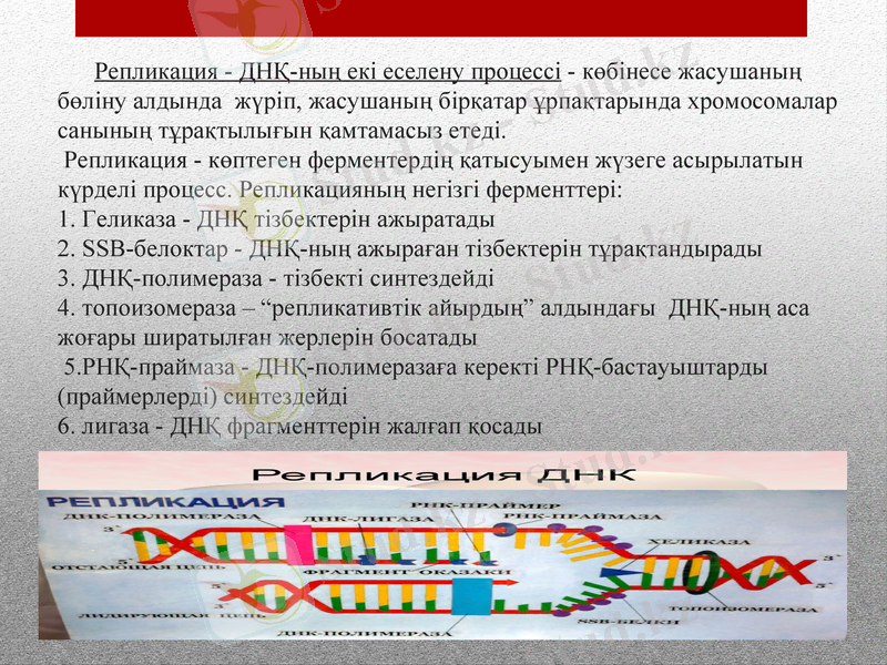 Slide 8