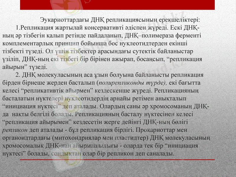 Slide 9