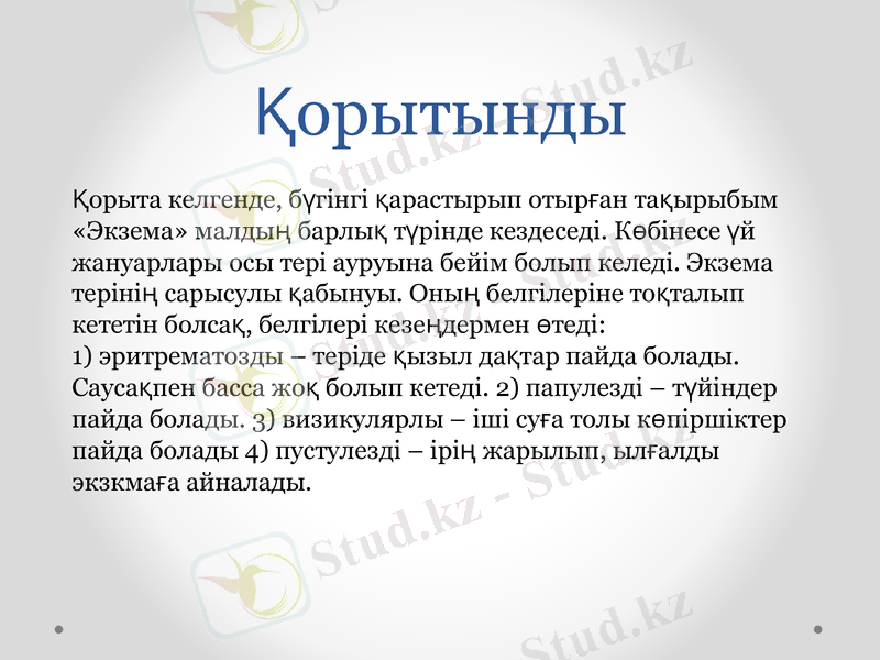 Slide 11