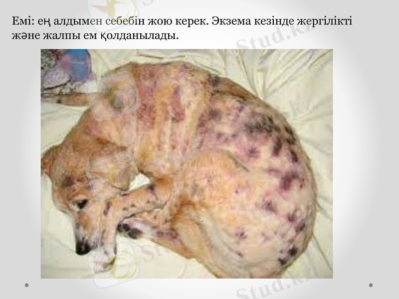 Slide 7