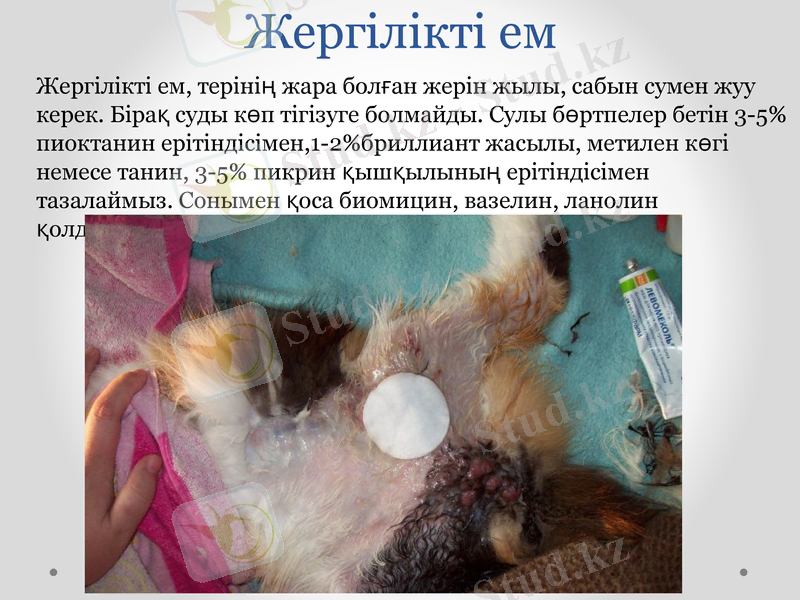 Slide 8