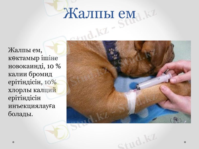 Slide 9