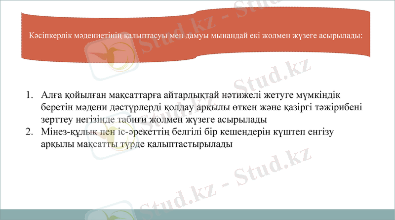 Slide 11