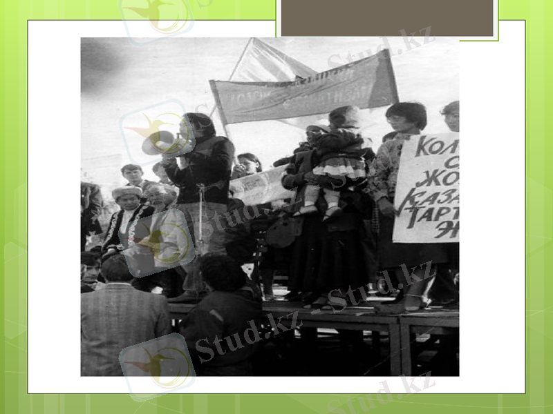 Slide 11