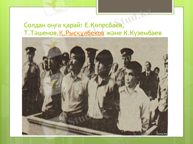 Slide 12