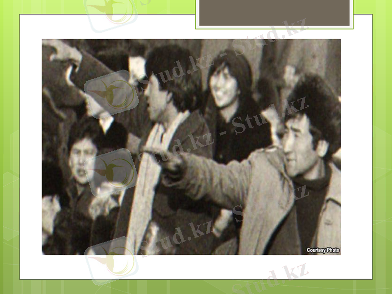 Slide 20